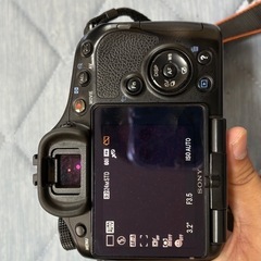 【決まりました】デジタル一眼レフの画像