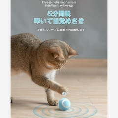 猫 おもちゃ 猫ボール★動物行動研究所共同開発 自動猫おもちゃ USB-C充電の画像