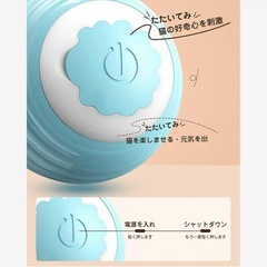 猫 おもちゃ 猫ボール★動物行動研究所共同開発 自動猫おもちゃ USB-C充電の画像