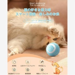 猫 おもちゃ 猫ボール★動物行動研究所共同開発 自動猫おもちゃ USB-C充電の画像