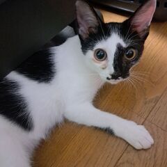 ワンパク 男の子 6ヶ月