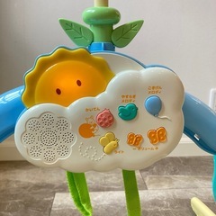 プーメリーの画像