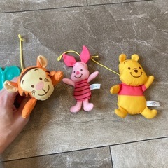 プーメリーの画像