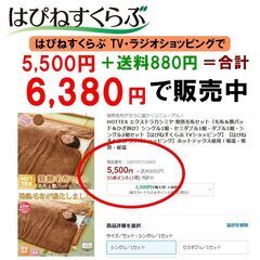 【実店舗閉店の為マイナス処分】めちゃ安！４点セット吸湿発熱ホットテックス毛布＋敷きパッド＋ひざ掛け＋洗濯ネットの画像