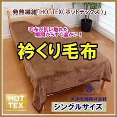 【実店舗閉店の為マイナス処分】めちゃ安！４点セット吸湿発熱ホットテックス毛布＋敷きパッド＋ひざ掛け＋洗濯ネットの画像