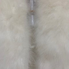 振袖ショール、ファー、成人式の画像