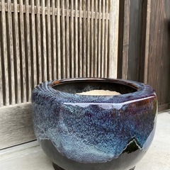 火鉢 睡蓮鉢 メダカ 青の画像