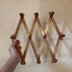 伸縮　壁掛け　収納の画像