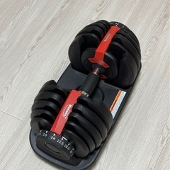 motions 可変式ダンベル 24kg ×2の画像