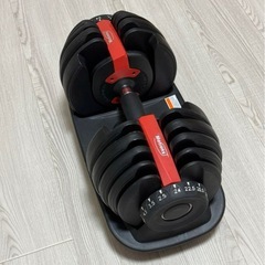 motions 可変式ダンベル 24kg ×2の画像