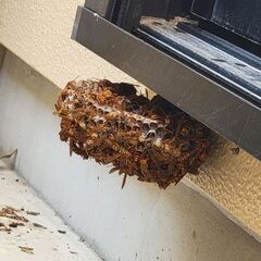 愛知、岐阜すぐ駆けつけます！一律料金！電話見積り致します！