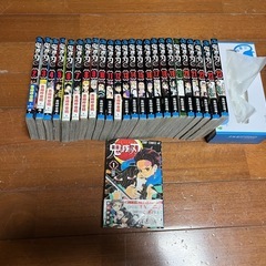 鬼滅の刃
の画像