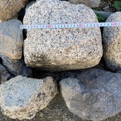 庭石7個の画像