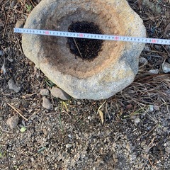 庭石7個の画像