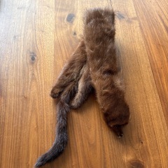 リアルファー☆テン☆毛皮　襟巻き★辻堂まで！の画像