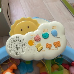 プーメリーの画像