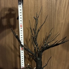 木　ツリー？　黒の画像