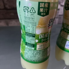 ［アミューズメント商品］カルピスソーダ国産メロンクリームソーダ２本
の画像