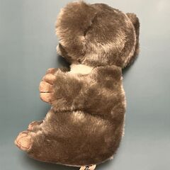 ココちゃん（コアラマットレス）の画像