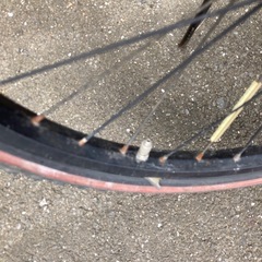 24インチ　自転車　子供用の画像