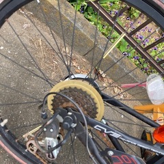 24インチ　自転車　子供用の画像