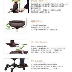 集中力の向上、疲労軽減、姿勢矯正、脊髄の健康 　iPole5 ウリドルチェア メッシュファブリック　グレー　 の画像