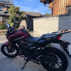 Hornet2.0 2023年式　走行1.500km 新古車　自賠責2年付き！の画像