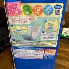 マナーウェア 中型犬用の画像