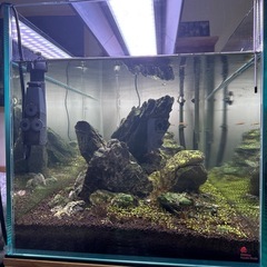 総額20万程　水槽　ADA 900セットの画像