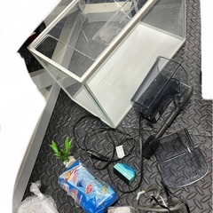 水槽セットの画像