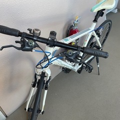 bianchiビアンキ ローマⅣの画像