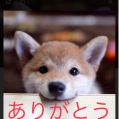 【お取引済み】の画像