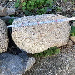 庭石7個の画像
