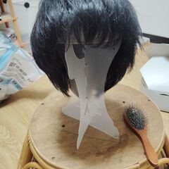 男性用ウィッグの画像