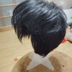 男性用ウィッグの画像