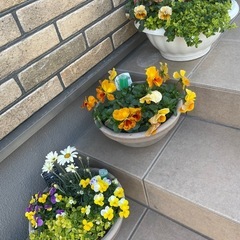ハーベリーポット43型　苺タワー　植木鉢 　の画像
