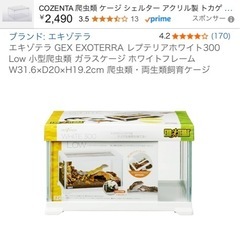 🦎 GEX EXOTERRA レプテリアホワイト300Low 🦎の画像