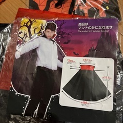 ダイソー　ハロウィン　グッズの画像