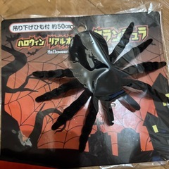 ダイソー　ハロウィン　グッズの画像