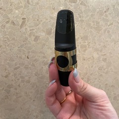 セルマー アルトサックス SA80Ⅱ の画像