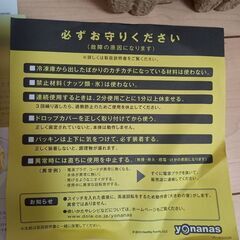 ⚠️値引き対応🉑⚠️Dole ヨナナス(未使用)(説明書付き)の画像
