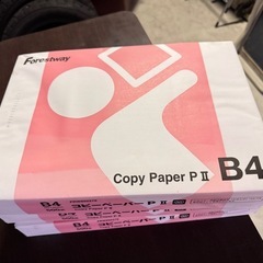 コピー用紙B4  (白)500×6、(グリーン)500×1の画像