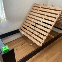 引き取り希望します。の画像