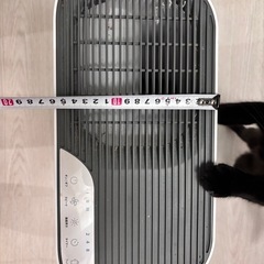 空気清浄機 Levoit(レボイト) の画像