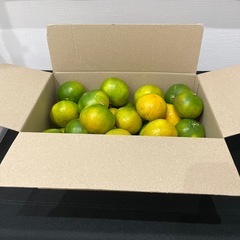 完売　①早生　みかん　3キロ　の画像