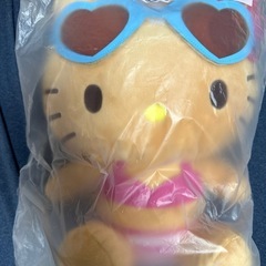 日焼けキティぬいぐるみ
の画像
