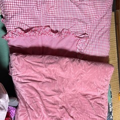 シングルサイズの掛け布団2点
の画像