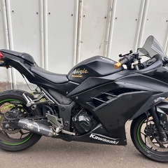 【動画あり】ニンジャ250 EX250L 2017年式　社外マフラー自賠責付きの画像