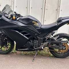 【動画あり】ニンジャ250 EX250L 2017年式　社外マフラー自賠責付きの画像