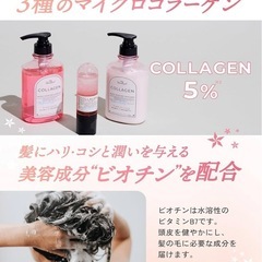 シャンプー＆コンディショナーの画像